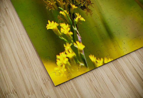 Butterfly Dennis Tonge Photography puzzle