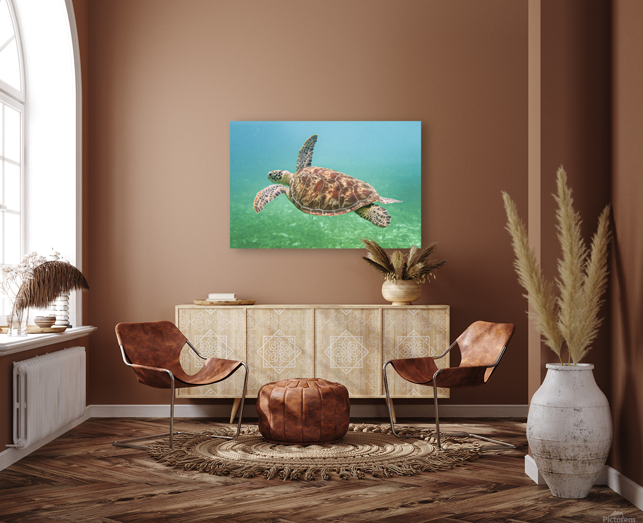 Green Sea Turtle Reproduction