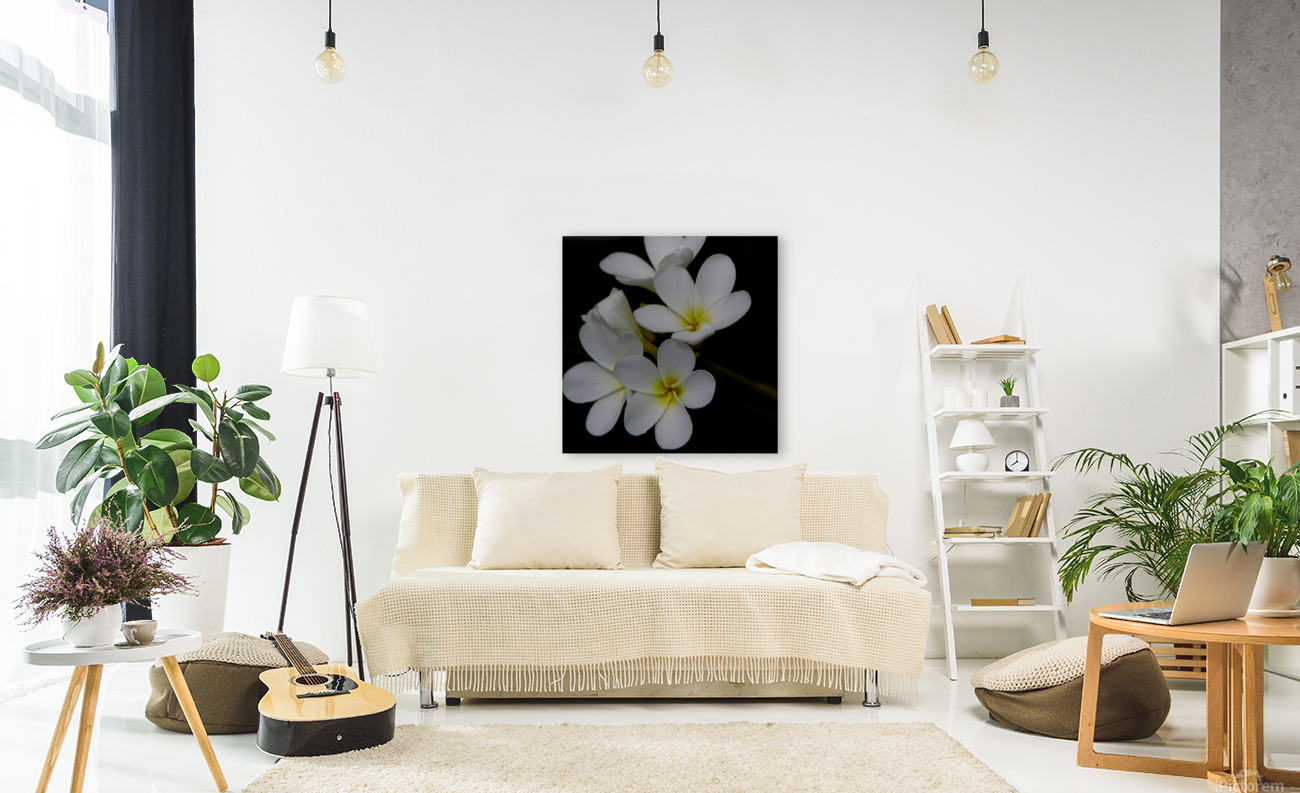 Plumeria Reproduction
