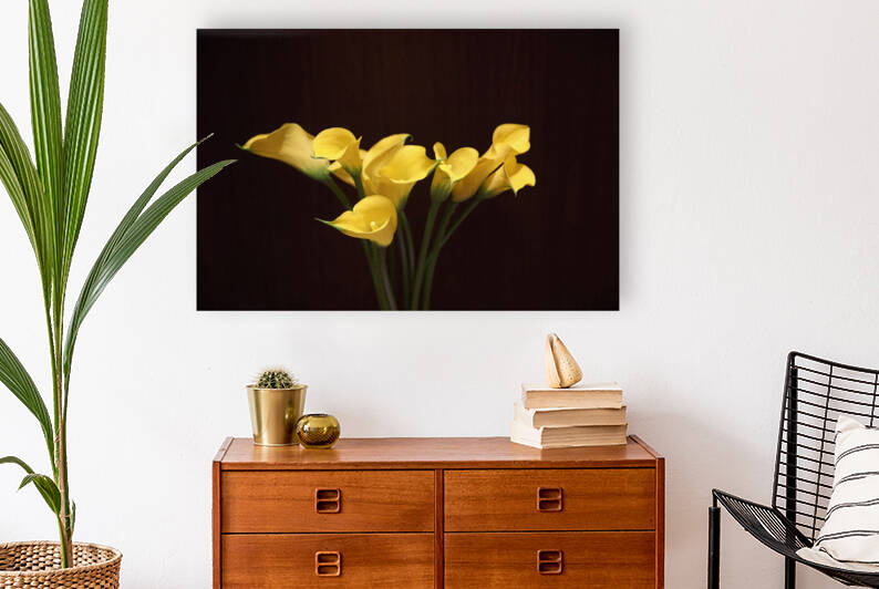 Yellow lilies by Dennis Tonge Photography