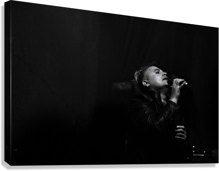 1000050807 Canvas Print