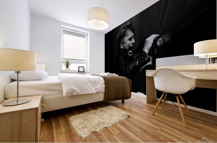 1000050809 Mural print