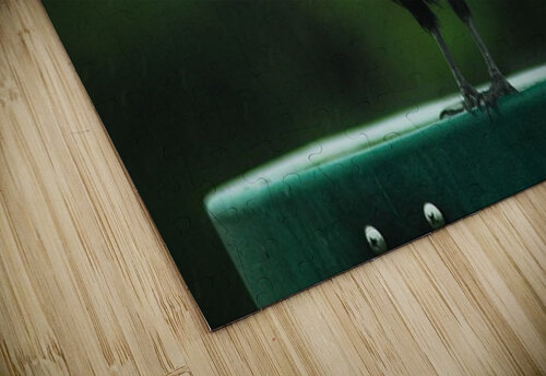 1000052009 Dawn Mahaney Photography puzzle