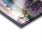 Playful cats Acrylic print