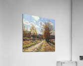 Landscape  Acrylic Print