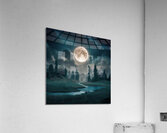 Full moon  Acrylic Print