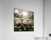 Des oiseaux volent  Acrylic Print