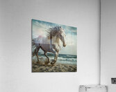 White horse  Acrylic Print