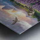 Playful cats Metal print