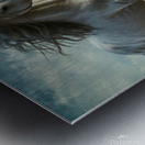 White horse  Metal print