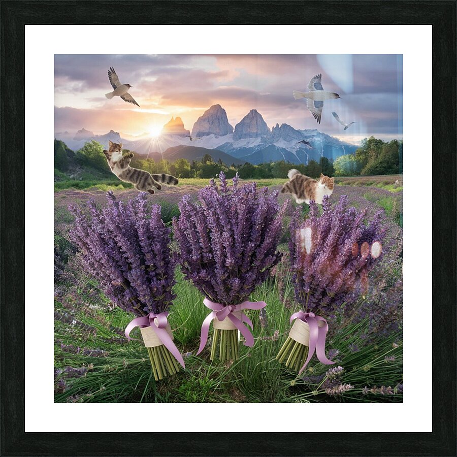 Playful cats Picture Frame print