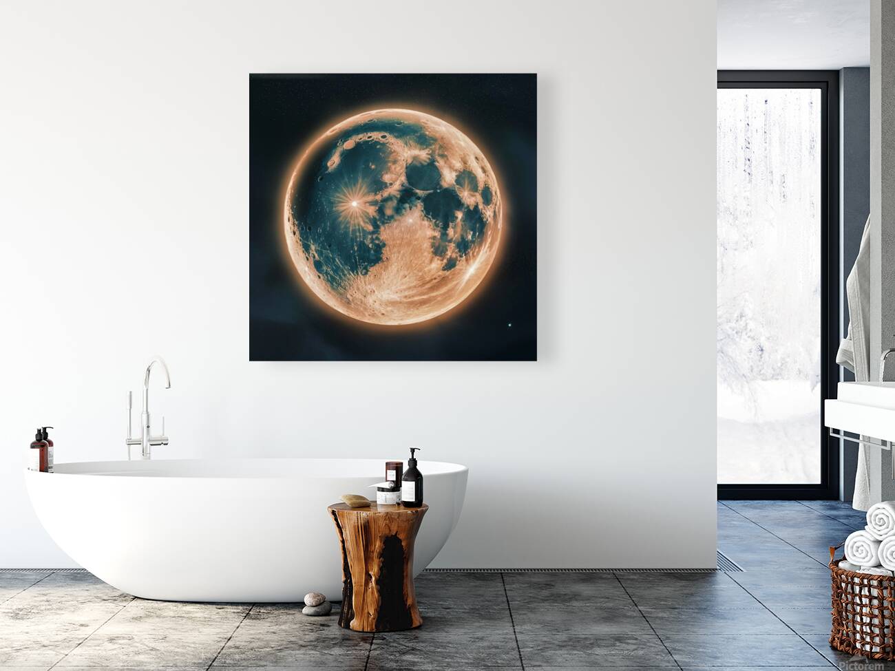 The moon  Reproduction