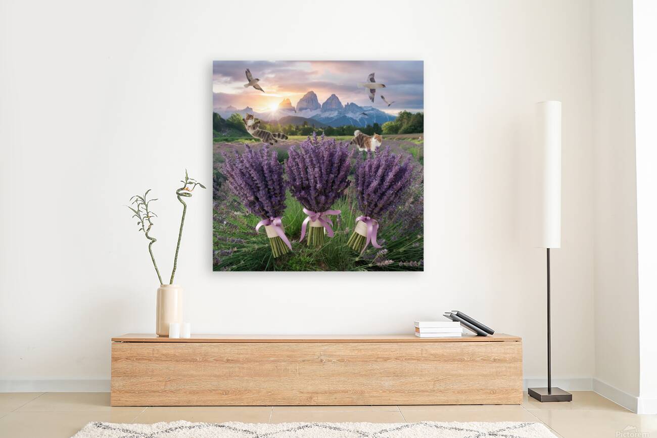 Playful cats Reproduction