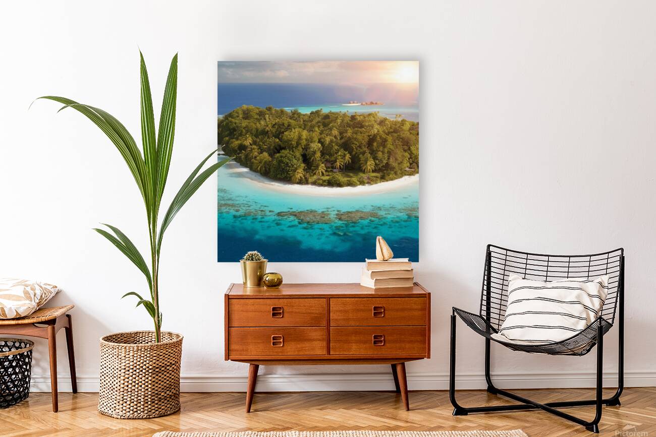 Island  Reproduction