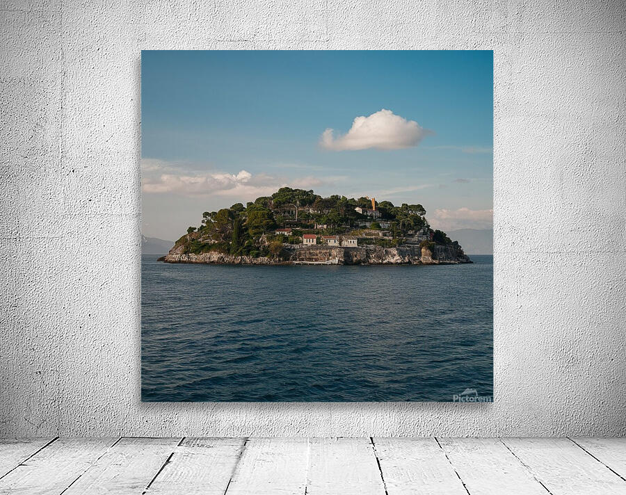 Sea Island Wall Preview