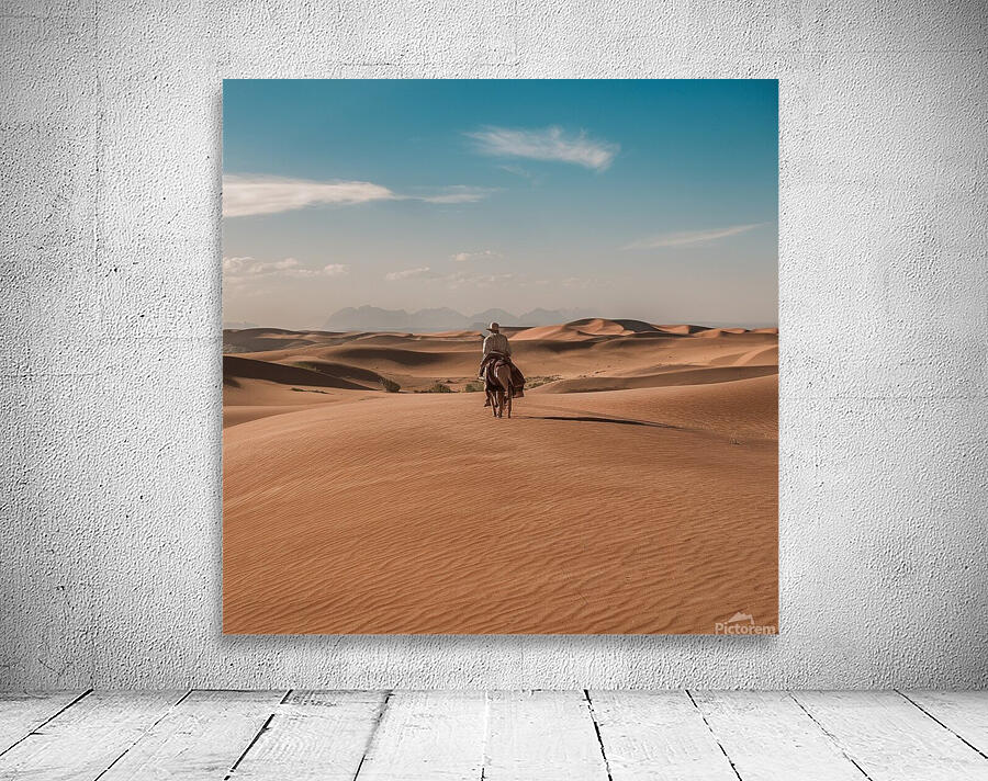 Desert landscapes Wall Preview