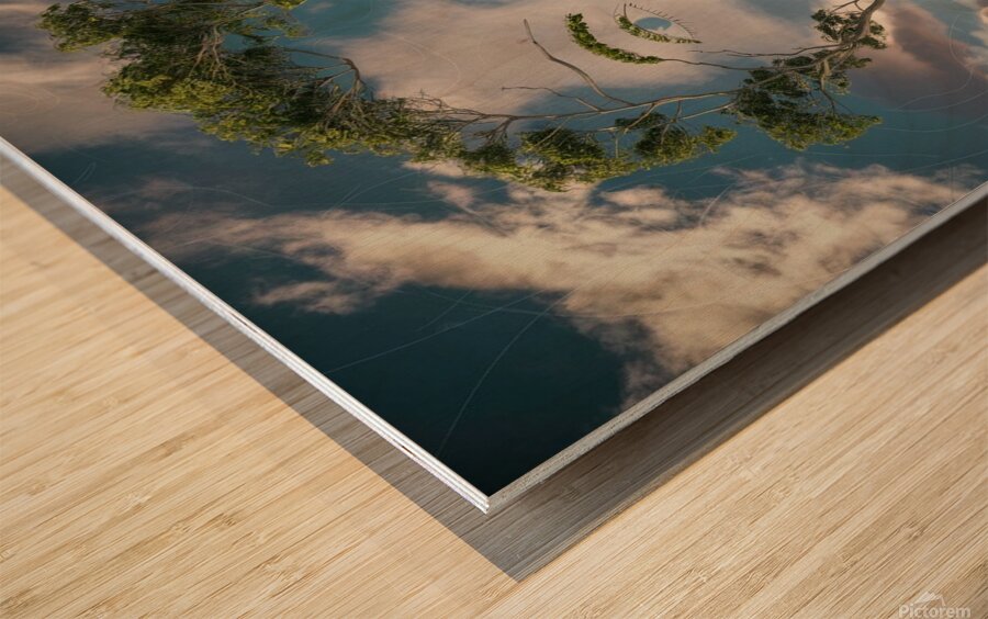 Womans face silhouette  Wood print