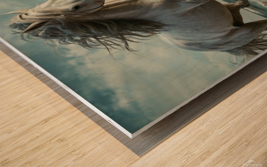 White horse  Wood print