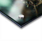 gsehru  photo 1707768559222 Acrylic print