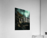 gsehru  photo 1707768559222 Acrylic Print