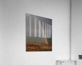 adventuringbeth photo 1707795840111 Acrylic Print