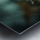 gsehru  photo 1707768559222 Metal print