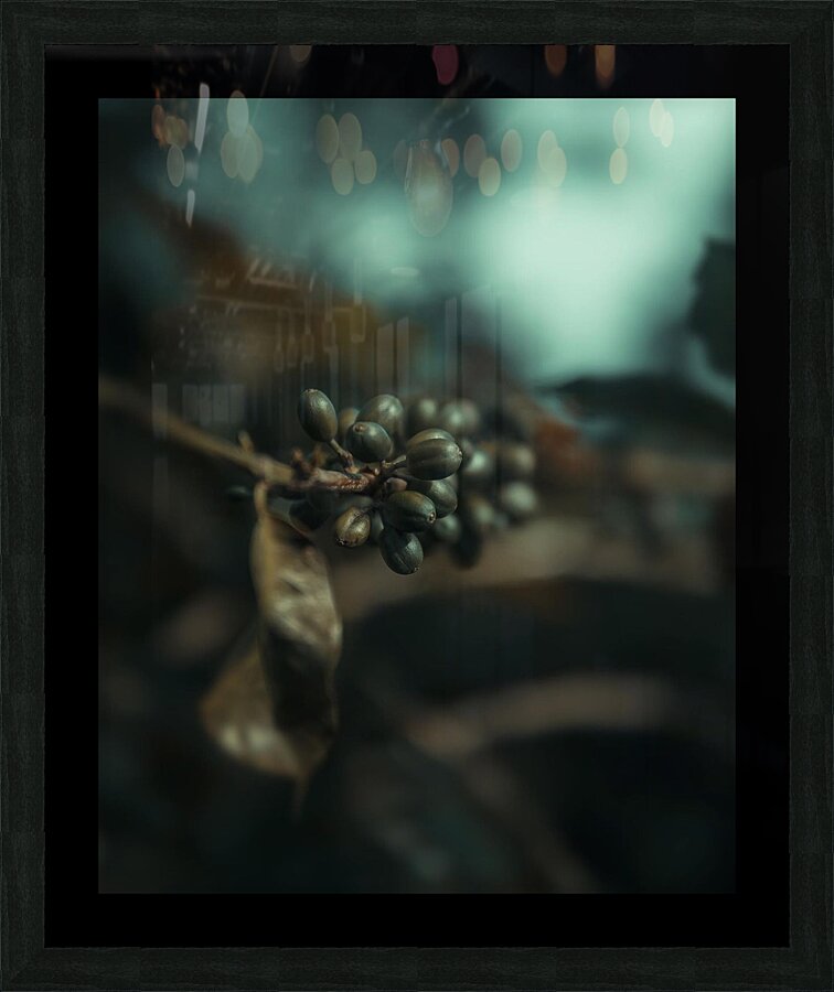 gsehru  photo 1707768559222 Picture Frame print