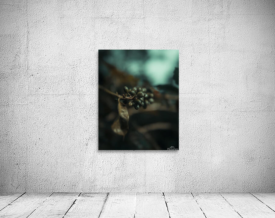 gsehru  photo 1707768559222 Wall Preview