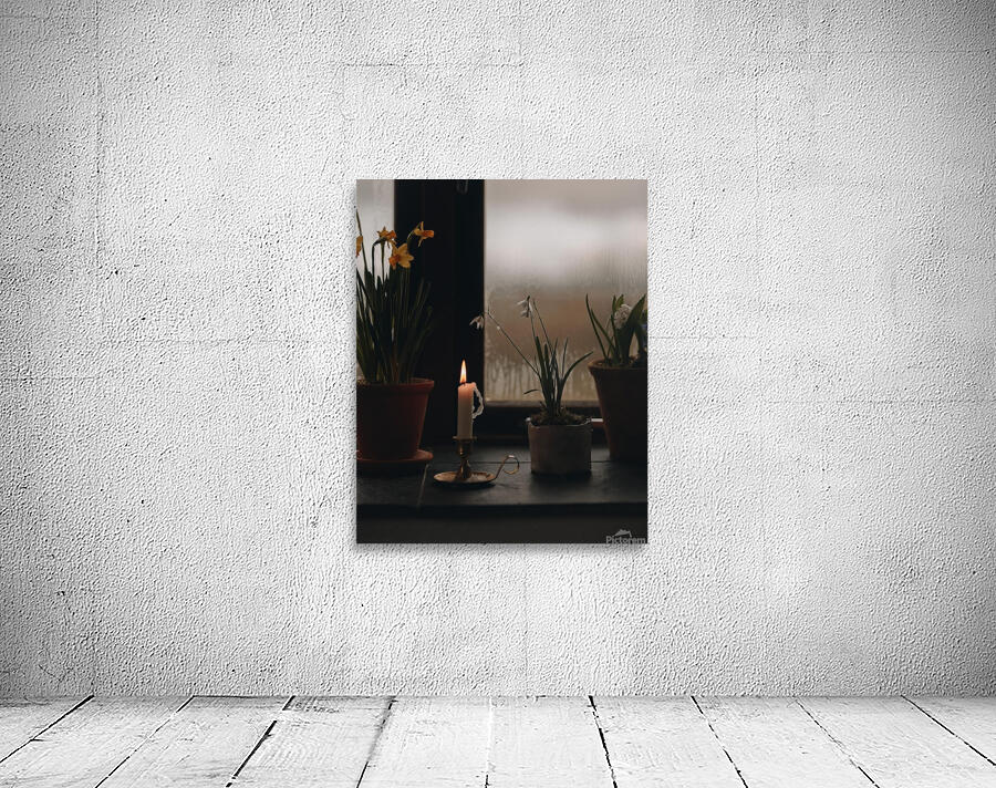 adventuringbeth photo 1707795839855 Wall Preview