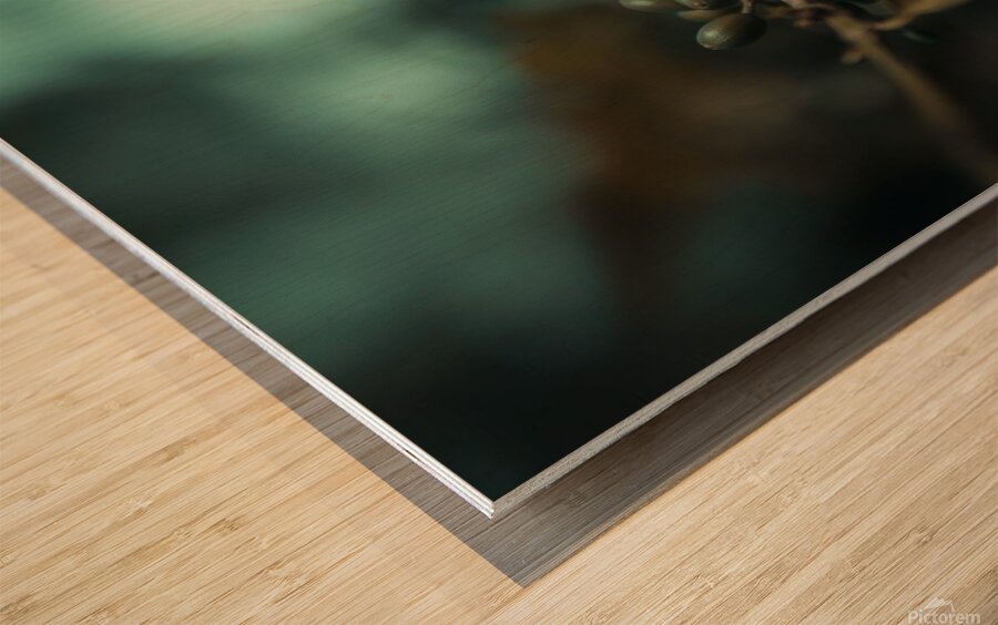 gsehru  photo 1707768559222 Wood print