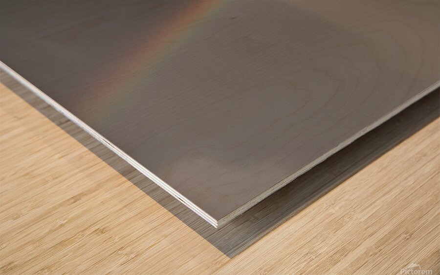 adventuringbeth photo 1707795840111 Wood print