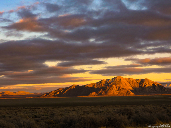 Nevada Landscape 5 Digital Download