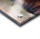 Nevada Virginia Range Series 1 Acrylic print