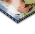 Nevada Virginia Range Series 8 Acrylic print