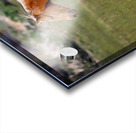 Nevada Virginia Range Series 12 Acrylic print