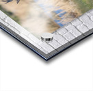 Nevada Virginia Range Series 18 Acrylic print