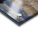 Nevada Virginia Range Series 22 Acrylic print