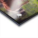 Nevada Virginia Range Series 30 Acrylic print