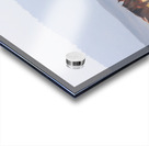 Mono Lake Wild Horse Series 1 Impression Acrylique