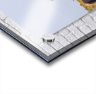 Mono Lake Wild Horse Series 1 Acrylic print