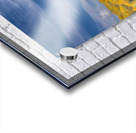 Mono Lake Wild Horse Series 1 Acrylic print