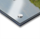 Marietta Wild Burro Range HMA 1 Acrylic print