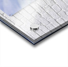 Nevada Mustang series1 1 Acrylic print