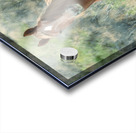 Nevada Mustang series 11 1 Acrylic print