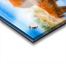 Nevada wild 6 Impression Acrylique