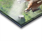 Nevada wild 2 1 Impression Acrylique