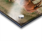 Nevada wild  Series VR1 1 Acrylic print