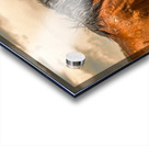 Nevada Mustang Series 16 1 Acrylic print