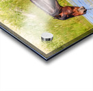 Nevada Mustang 1 4 Impression Acrylique