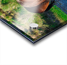 Nevada Mustang 1 6 Acrylic print